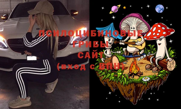 мдма Ельня