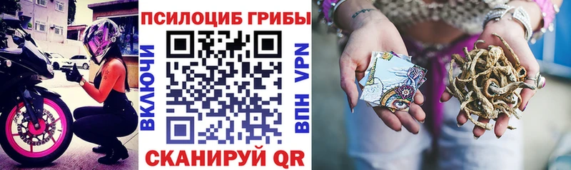 Галлюциногенные грибы Psilocybe  наркошоп  Чухлома 